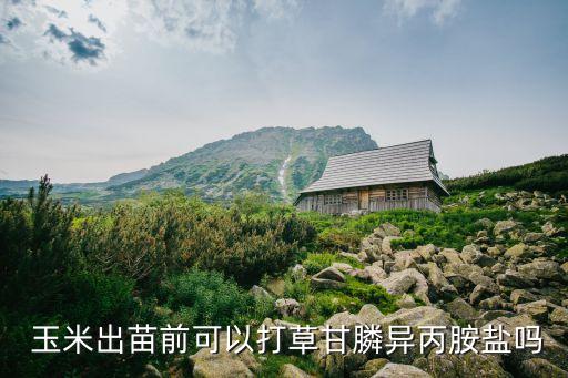  玉米出苗前可以打草甘膦異丙胺鹽嗎