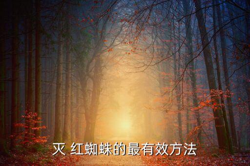 什么農藥打紅蜘蛛最有效,打紅蜘蛛的農藥