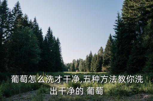  葡萄怎么洗才干凈,五種方法教你洗出干凈的 葡萄