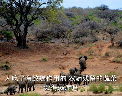 什么農(nóng)藥致列當,列當分布在什么地方