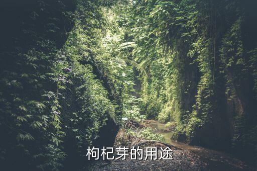 枸杞葉起泡噴灑什么農藥