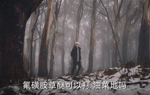 氟磺胺草醚可以打 油菜地嗎