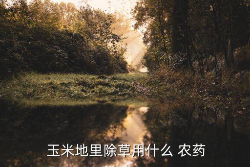 東北玉米經常打什么農藥