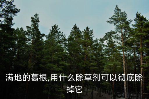 復生是什么農藥,666粉是什么農藥