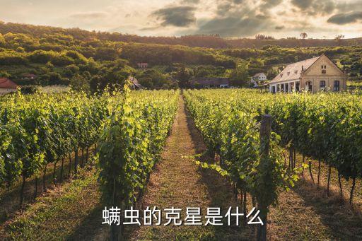 菜中螨蟲最怕什么農(nóng)藥
