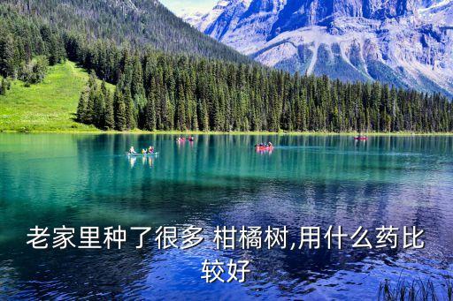 柑橘要打些什么農藥防治