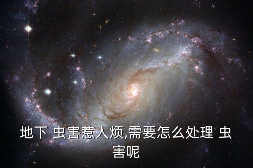 大薯有蟲害用什么農(nóng)藥