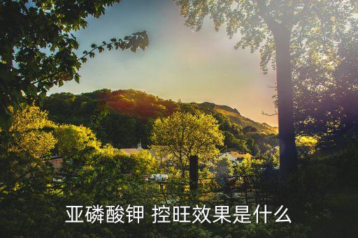 控旺最好的農藥是什么,萵苣控旺最好的農藥