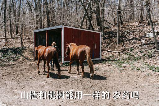 山楂和桃樹能用一樣的 農藥嗎