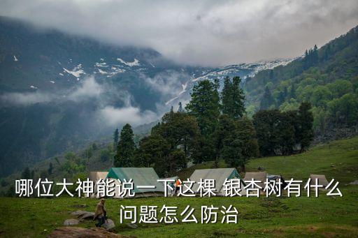 ,什么農(nóng)藥可讓銀杏不結(jié)果