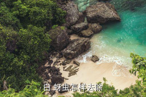 堅(jiān)果白蚜蟲(chóng)噴什么農(nóng)藥