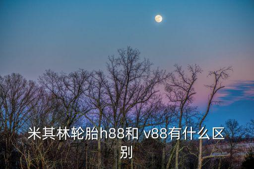 米其林輪胎h88和 v88有什么區別