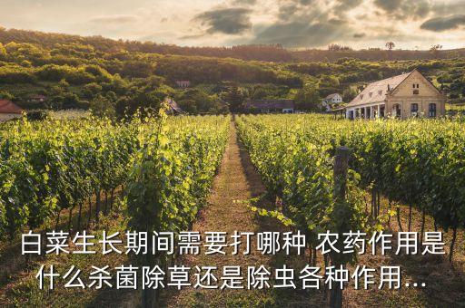 白菜生長期間需要打哪種 農藥作用是什么殺菌除草還是除蟲各種作用...