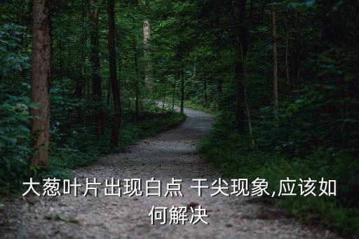 蔥干尖打什么農藥