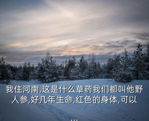 馬尾根可以噴什么農藥