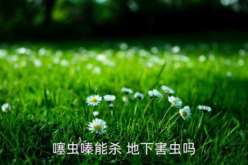 噻蟲嗪能殺 地下害蟲嗎