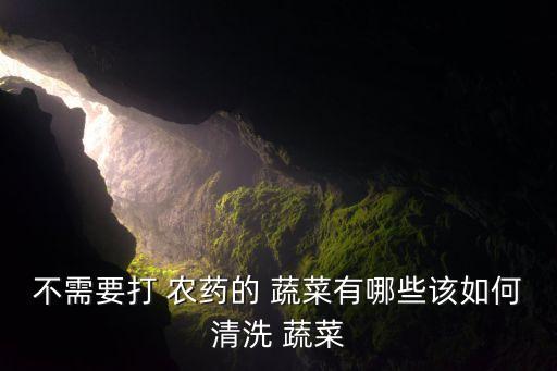 不需要打 農藥的 蔬菜有哪些該如何清洗 蔬菜