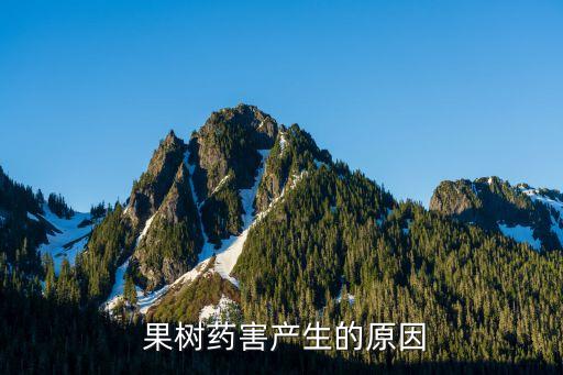  果樹藥害產生的原因