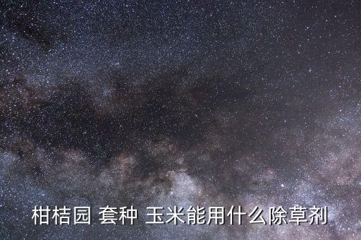 柑桔園 套種 玉米能用什么除草劑