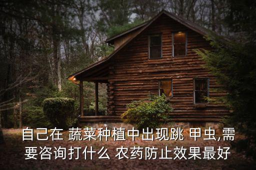 自己在 蔬菜種植中出現跳 甲蟲,需要咨詢打什么 農藥防止效果最好