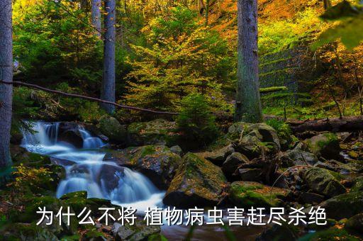 農藥為什么不殺植物