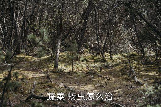 菜籽上的蚜蟲用什么農(nóng)藥,菜籽打什么農(nóng)藥好