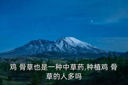 雞 骨草也是一種中草藥,種植雞 骨草的人多嗎