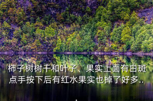 柿子上面有黑點用什么農藥