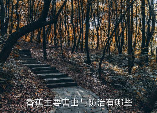 香蕉噴什么農藥殺蟲好吃,向日葵用什么農藥殺蟲