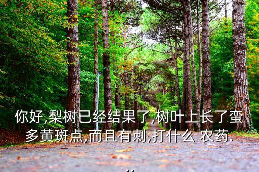 你好,梨樹已經結果了,樹葉上長了蠻多黃斑點,而且有刺,打什么 農藥...