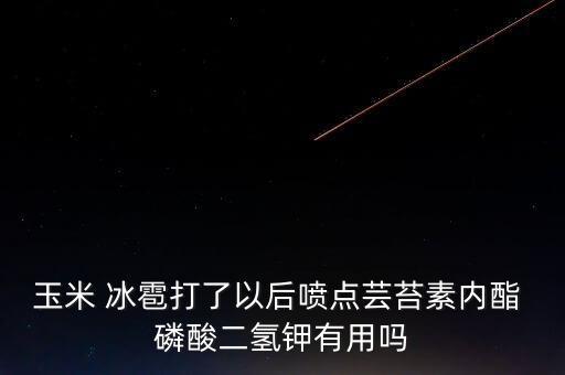 玉米 冰雹打了以后噴點蕓苔素內酯 磷酸二氫鉀有用嗎