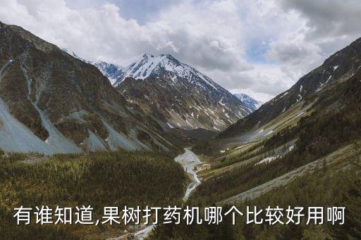 一般什么時間打農(nóng)藥最好,用什么機子打農(nóng)藥最好