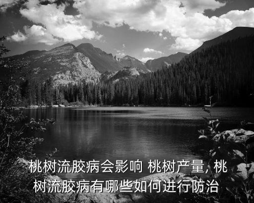 桃樹生膠什么農藥能治,桃樹流膠專用特效藥