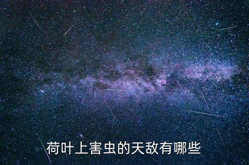 灑蓮藕蟲用什么農藥,什么農藥能殺死蓮藕