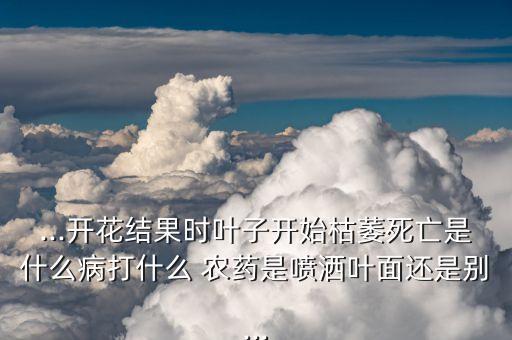 尖頭番茄打什么農藥,小番茄有沒有打農藥