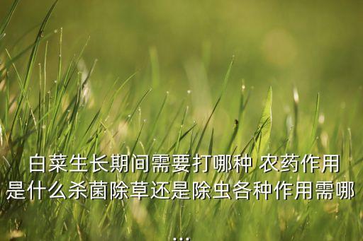 白菜上生蟲用什么農藥,白菜的青蟲用什么農藥