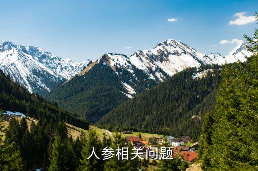 人參相關問題