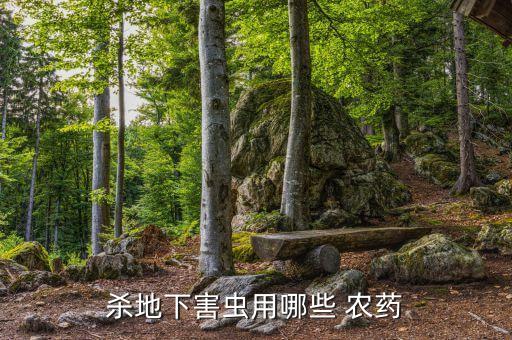 殺地下害蟲用哪些 農藥
