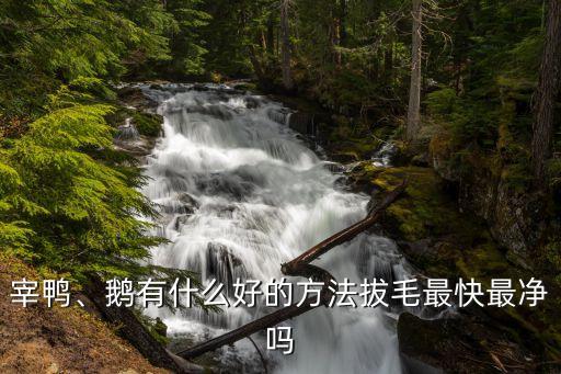 宰鴨、鵝有什么好的方法拔毛最快最凈嗎