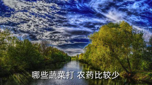哪些蔬菜打 農藥比較少