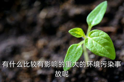 江蘇鹽城什么農(nóng)藥廠爆炸