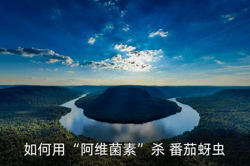 如何用“阿維菌素”殺 番茄蚜蟲