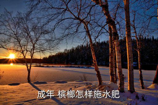 成年 檳榔怎樣施水肥