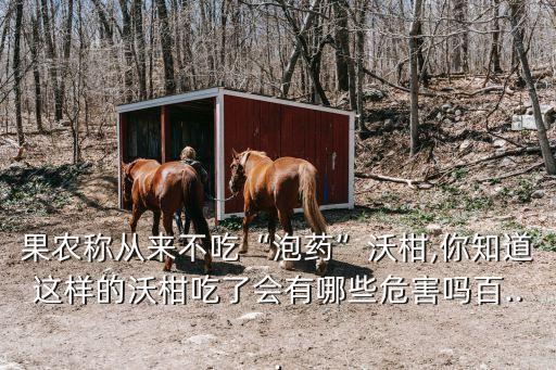 沃柑用什么農(nóng)藥為好,沃柑有哪些品種