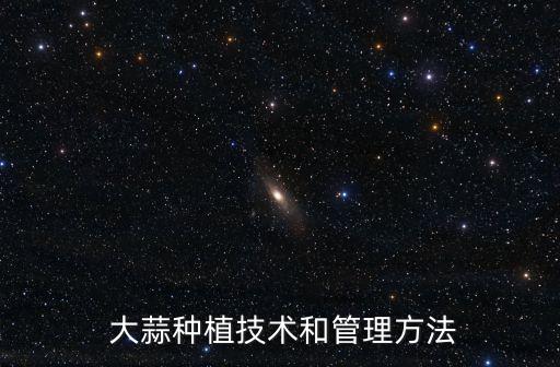  大蒜種植技術(shù)和管理方法