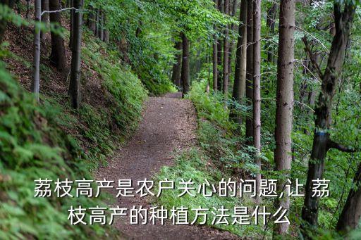 荔枝炭疽病噴什么農(nóng)藥