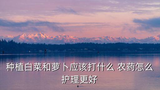 種植白菜和蘿卜應該打什么 農(nóng)藥怎么護理更好