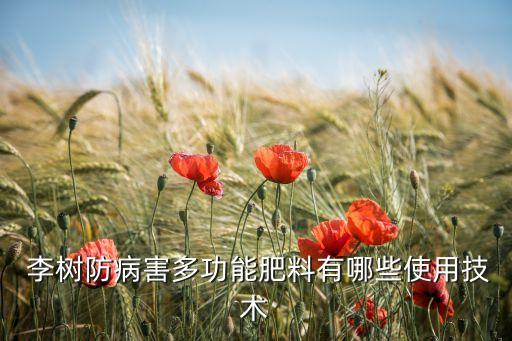 李樹(shù)彭大期噴什么農(nóng)藥