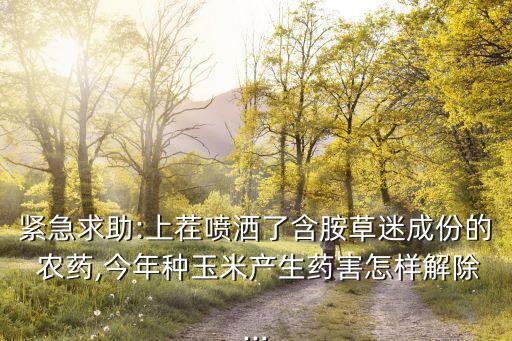 緊急求助:上茬噴灑了含胺草迷成份的 農藥,今年種玉米產生藥害怎樣解除...