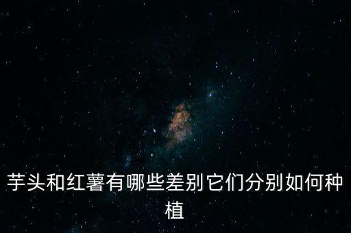 芋頭和紅薯有哪些差別它們分別如何種植